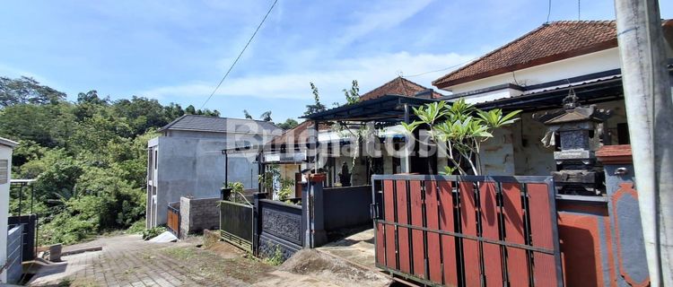 RUMAH 2KT Sangat STRATEGIS di Denbantas Tabanan BALI 1