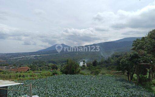 Tanah di Lembang Cocok Untuk Dibuat Villa, Tempat Wisata Dll 1