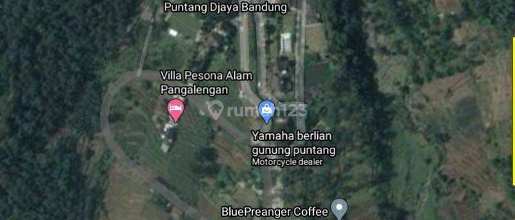 Dijual Tanah Di Puntang Ciwidey 1