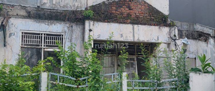 Maleo Dekat Masjid Bintaro Jaya 9 1