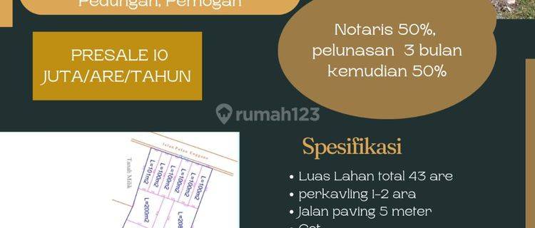 Tanah di Jl. Pulau Bungin, Denpasar 4.300 are 1