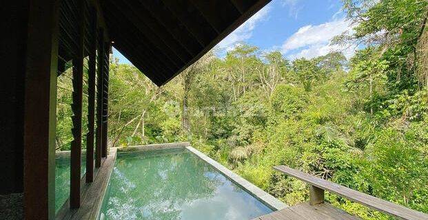 Villa Modern Minimalis Konsep Natural View Lembah Sungai Di Ubud 1