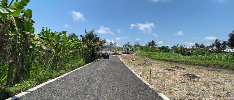 Tanah Kavling View Sawah, Harga Murah Meriah di Pering, Gianyar 1