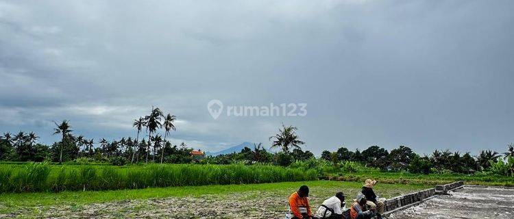 Tanah Kavling Murah di Area Pering Gianyar Dekat Pantai Saba  1