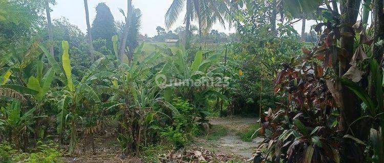 Land for sale in Sudimara, Tabanan, Bali 1