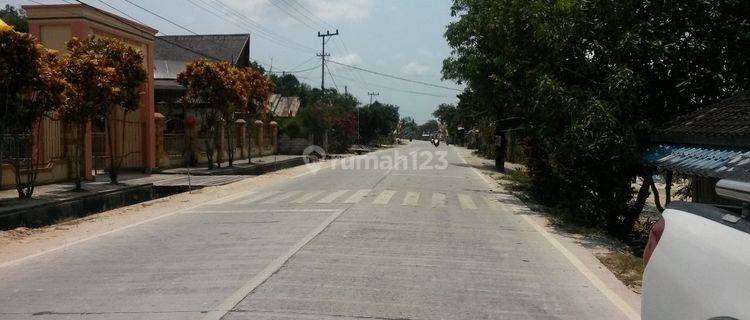 Tanah Murah Poros Muara Jawa Kutai Kertanegara Kalimantan Timur  1