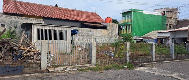 Dikontrakan Tanah Pusponjolo Semarang  1