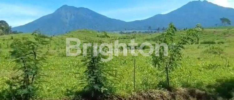 Tanah kebun dengan view pegunungan dan selat Bali, strategis, sangat prospek untuk usaha agrowisata, glamping, villa dan resort di kota Banyuwangi, Jawa Timur 1