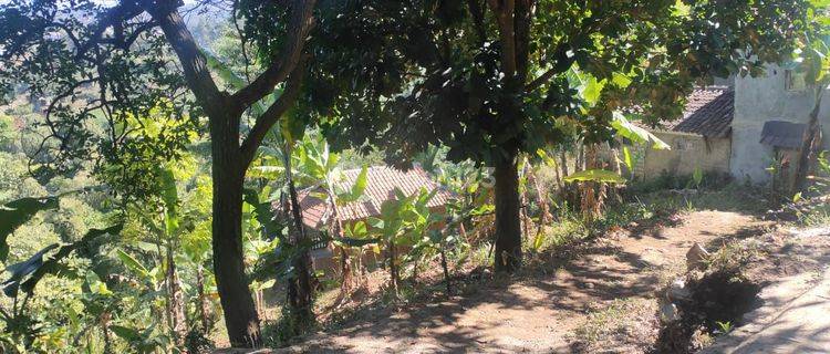 Jual Tanah Punclut Lembang Dibawah Njop : 750 Rb/Mt Cocok U Villa  , Cidadap Punclut 1