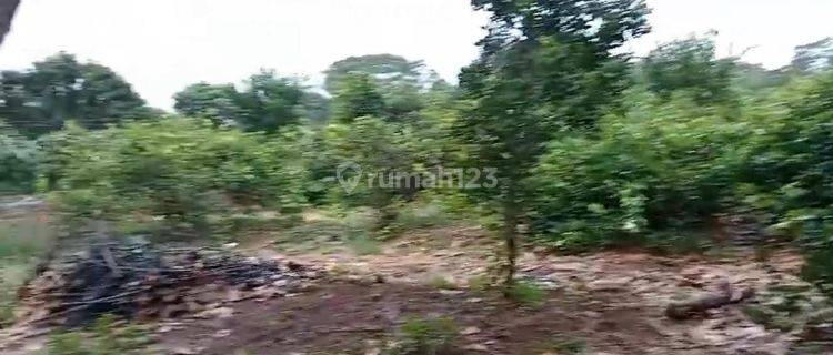 Dijual Tanah Peternakan 25Ha di Subang, Jawa Barat 1