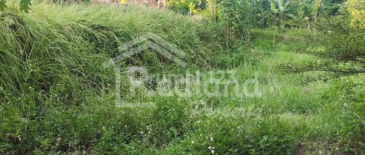 Tanah di Daerah Borobudur, Kalipancur Semarang Hl 6904  1