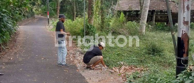 Turun Harga !! Tanah strategis di Pakem Kaliurang Yogyakarta. 1