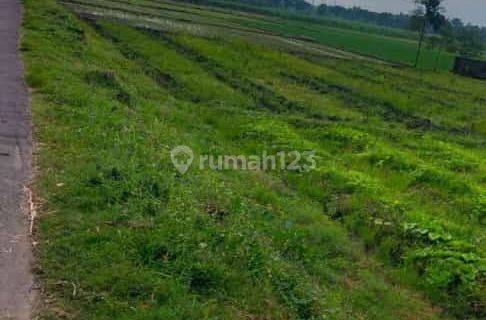 For Sale Tanah Per Meter Mojokerto Ca 4.655 1