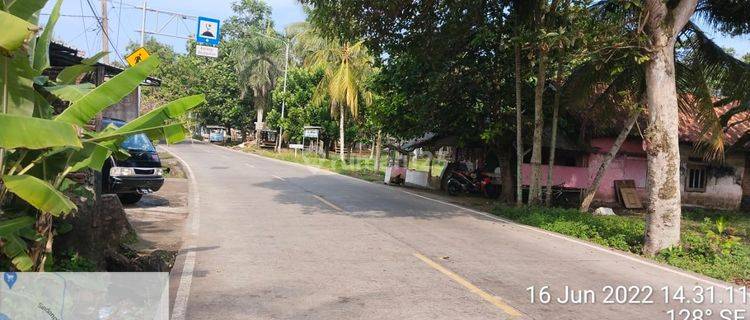 Disewakan Tanah Di Desa Sindangkerta Kecamatan Cipatujah Kabupaten Tasikmalaya Jawabarat, Cipatujah Cocok Untuk Berbagai Usaha 1