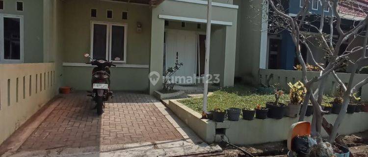 Cepat Rumah Murah di Pinus Regency Bandung Hrga Dibwh Njop 1