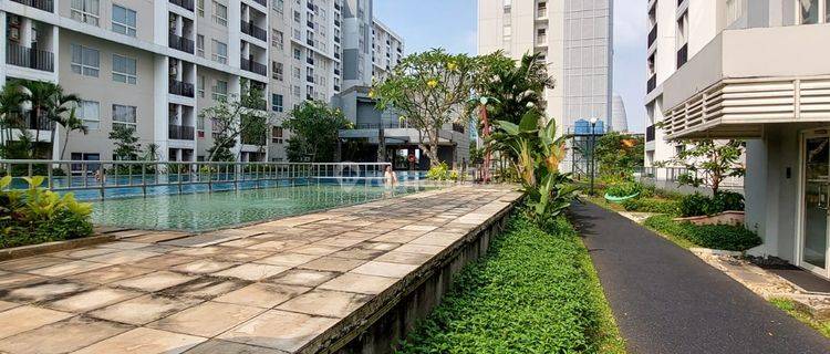 Apartemen Scientia Tipe Garden Unit Langka Scientia Umn Gading Serpong 1