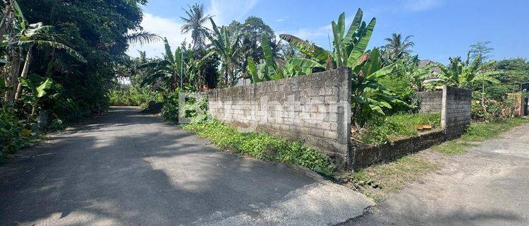 Tanah dekat Green School Sibang 1