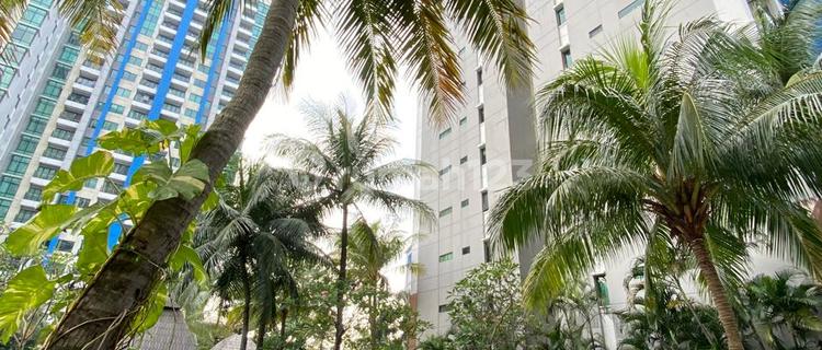 Apartment Fully Furnished Strategically Located in Cilandak Area, South Jakarta 1