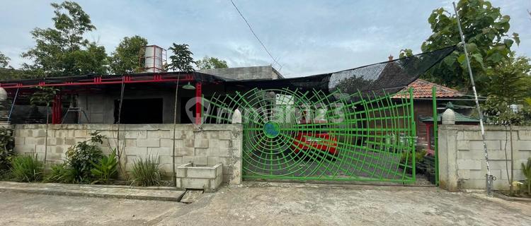 Di Jual Rumah Plus Lahan Perkebunan Green House Rumah Kaca di Pacarejo Semanu Gunung Kidul 1