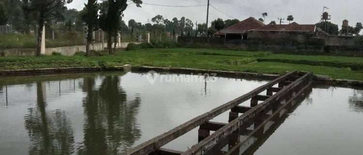 Rumah Villa Asri Di Ciwidey Dekat Kawah Putih Kota Bandung 1