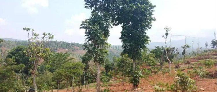 Dijual Kavling 10,000 M2 di Desa Cikereo Selatan, Sumedang 1