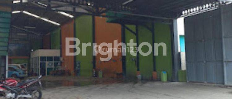 TURUN HARGA Pakis Malang pinggir jalan dan cocok di buat Usaha Gudang 1