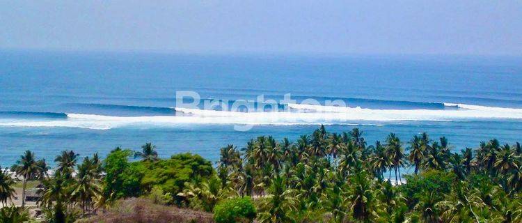 Sumba Lamboya Bawah Pantai Kerewe Tanah Kren Banget View langsung ke pantai  1