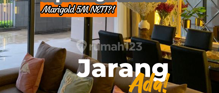 Marigold Apartment 3 Bedrooms Furnished 1