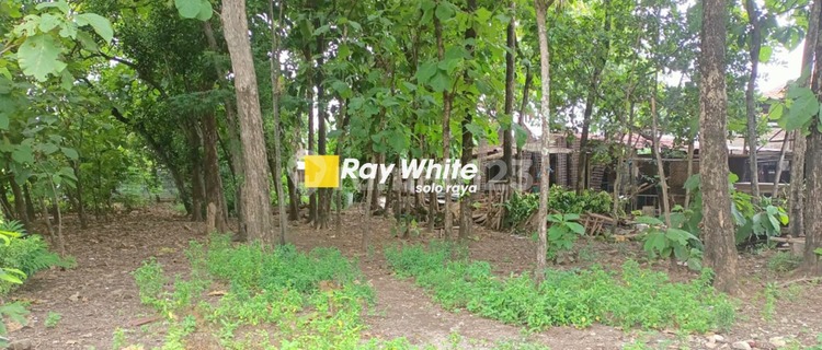 Dijual Tanah di Gedongan, Colomadu 1