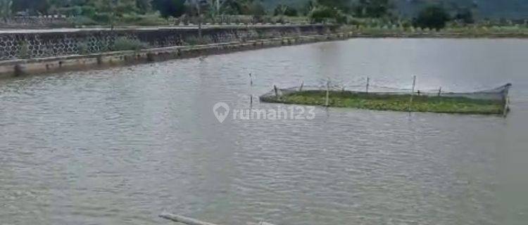 Dijual Tanah Sawah Dan Kolam Luas Di Sukaraja Selawangi Sukabumi 1