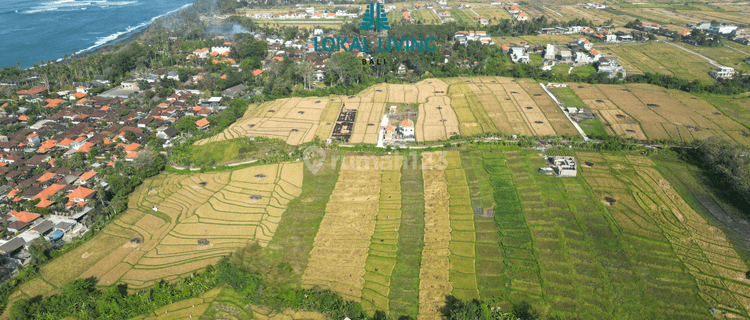Tanah Komersil Di Kawasan Wisata Pantai Seseh Seluas 3,064 m² 1