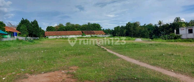 Tanah Dengan Lokasi Menarik Di Pinggir Jalan Raya Tenjo 1