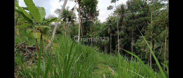 Lahan Kosong di Madangan, Gianyar, Bali 1