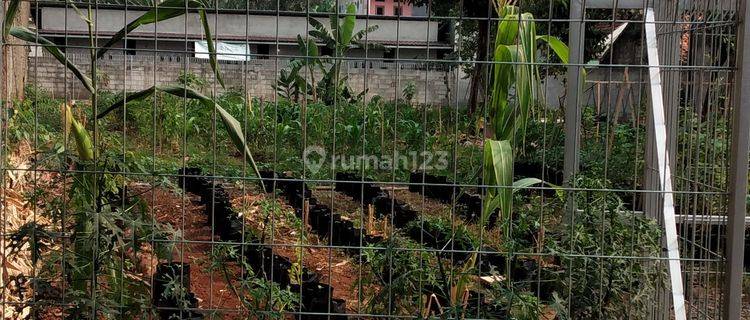 Dijual Cepat Tanah Di Pondok Cabe Murah Jarang Ada Sdh Dipagar  1