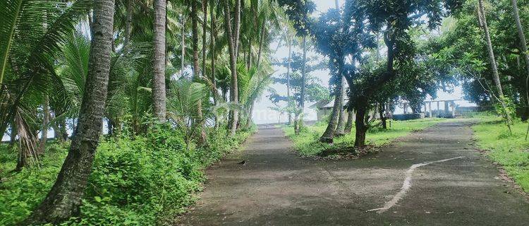 Land For Sale, Beach Front In Tejakula, Buleleng 1