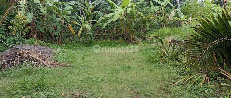 Dijual Tanah River View Dan Jungle 1