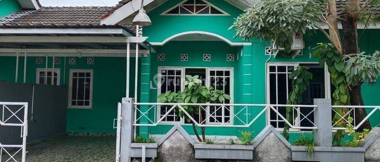 Disewakan Rumah 1 Lantai, Dekat Beberapa Kampus Sekolah, Pusat Kuliner di Yogyakarta 1