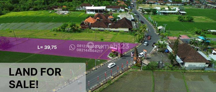 Jual Tanah Tanah Lt 39,75 Are Harga 1,1 M Tanah Lot 1