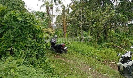 Jual tanah di reasa penebel 1