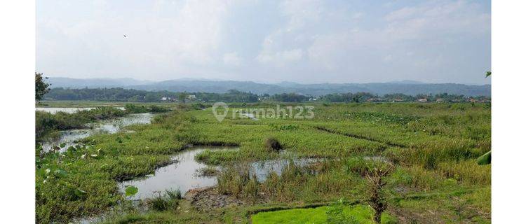 Tanah Strategis Coock Untuk Investasi di Cilauteureun, Garut 1