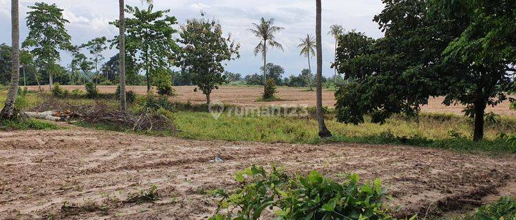 Di Jual Tanah SHM di Sayap Airport Raden Inten Lampung 1