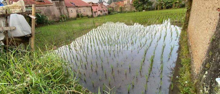 Dijual Tanah Shm Di Waas Cianjur Jawa Barat 1
