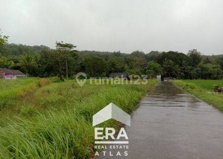 Tanah strategis di Bringin, Tuntang, Kab Semarang 1