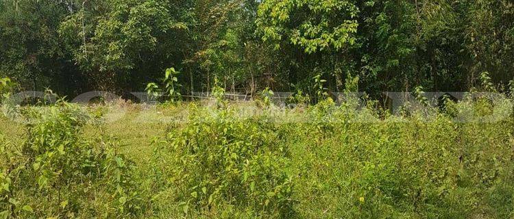Kode 19169 js , Dijual Tanah Cariu, Luas 1.2 Ha, Bogor 1
