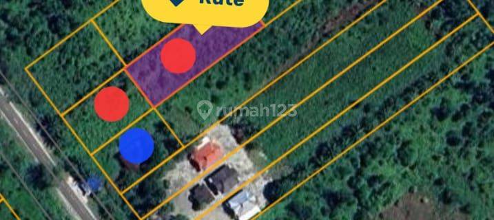 For Sale! Murmer Dan Lokasi Strategis! Tanah Di Palangkaraya! 1