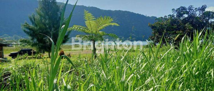 Lahan dipinggir Danau Candi kuning Bedugul dengan luas 2800m²,Lahan sangat prospek cocok untuk investasi , bisnis wisata outdoor lingkungan sejuk dan dekat dengan banyak area wisata 1