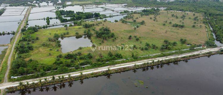 kan Tanah Kosong Di Seruai Medan Belawan 1