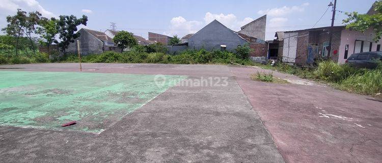 Disewakan Murah Lahan Kosong Tlogosari Pedurungan Semarang 1