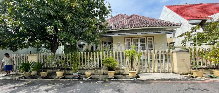 Rumah Tua Ada Kt Kost 8 Siap Huni Di Pindrikan Semarang 1