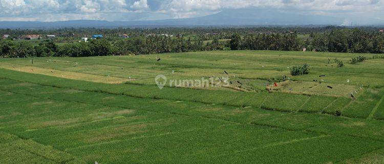 Tanah 10,9are di Kedungu, Jalan Kaki Ke Bali Beach Glamping 1